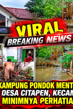 Banjir Rendam Kampung Pondok Menteng RT 04/RW 02 Desa Citapen, Warga Soroti Minimnya Perhatian Pemerintah